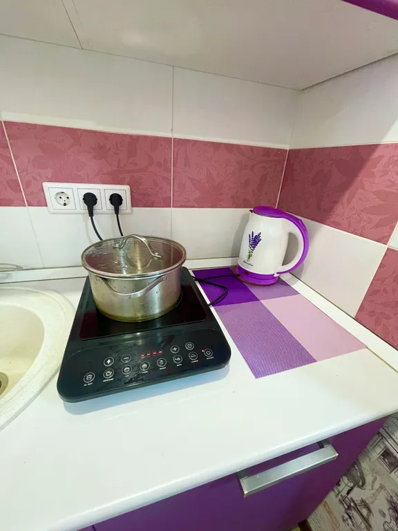 Квартира Квартира Исторический центр Новосибирска — Новосибирск