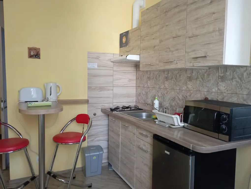 Квартира Апарт квартира в Доме у моря — Светлогорск