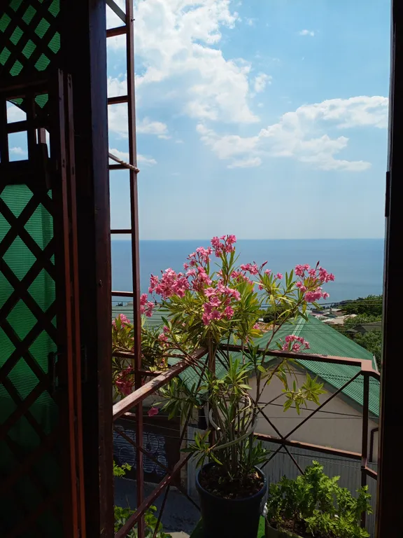 Видовая студия с террасой вид на море и горы