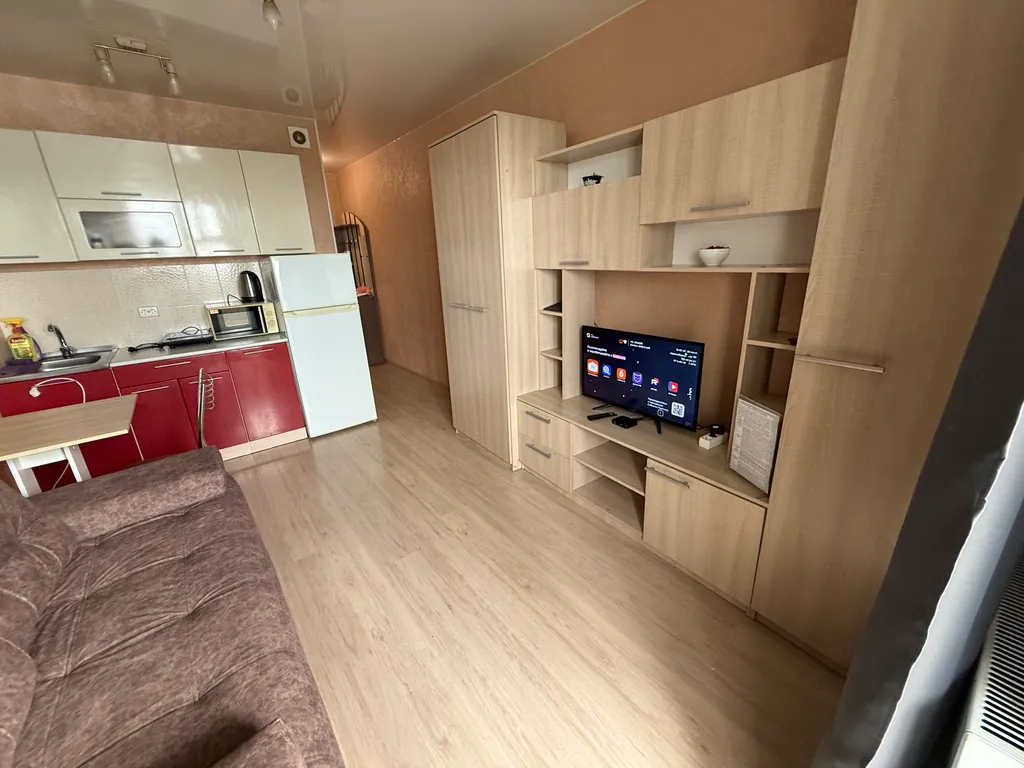 Студия - диван, стиралка, холодильник, СВЧ, водонагреватель