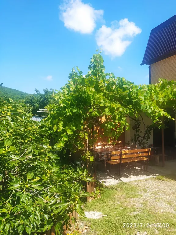 Семейный отдых