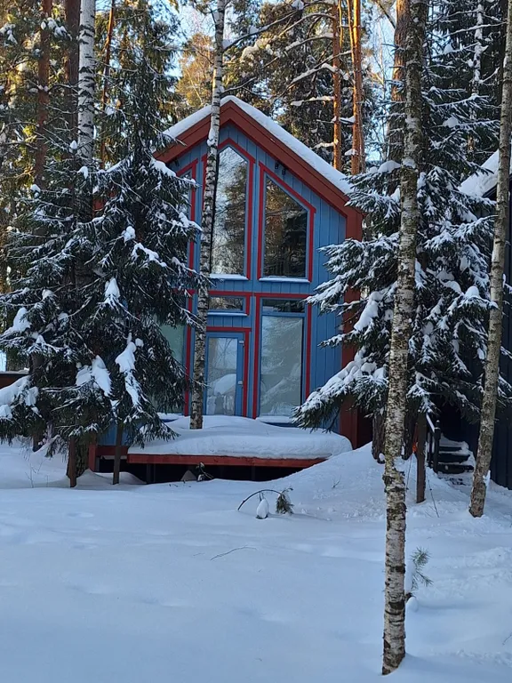 Барнхаус в лесу с розовой гостиной