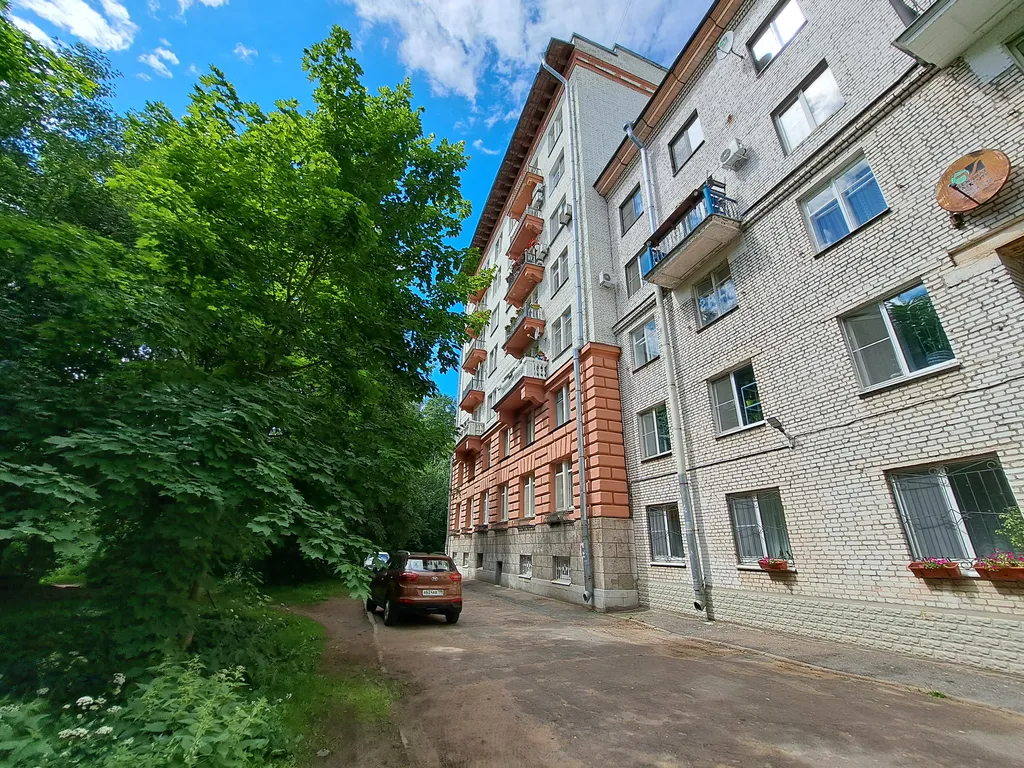 Большая чистая квартира в Удельном парке