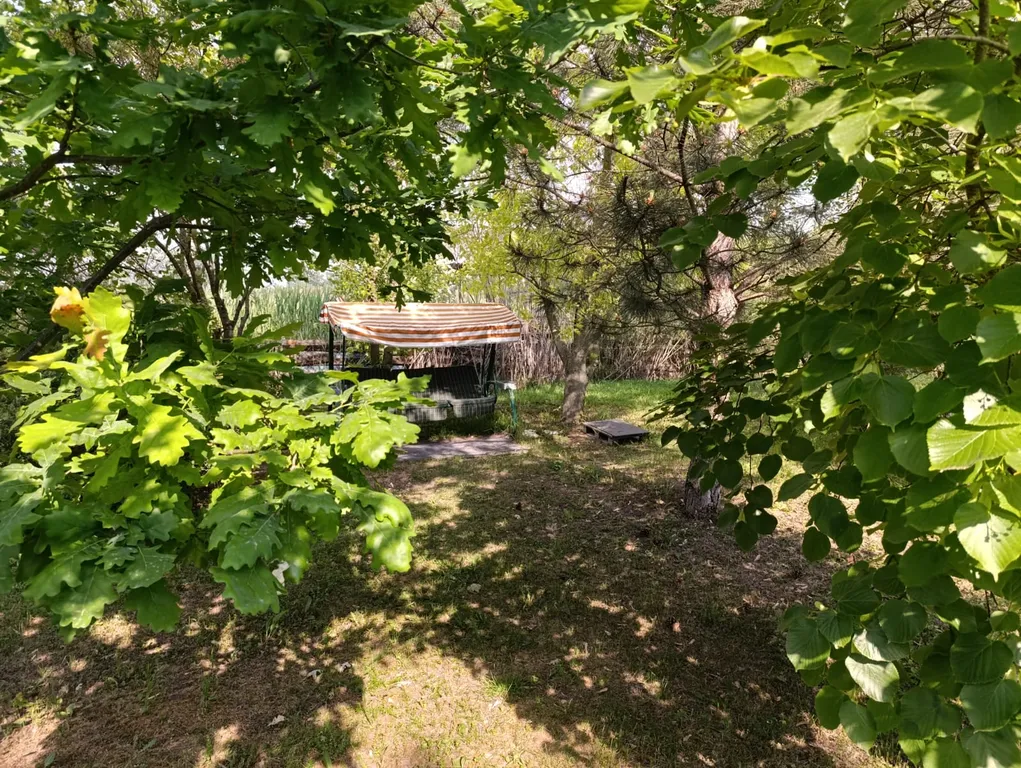 Дача на реке