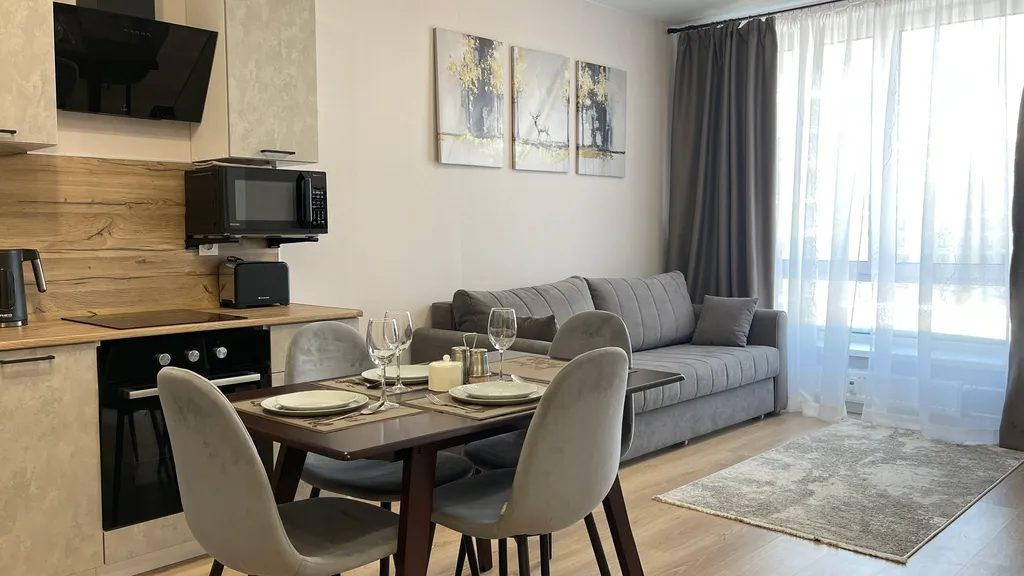 Апартамент рядом с аэропортом Внуково