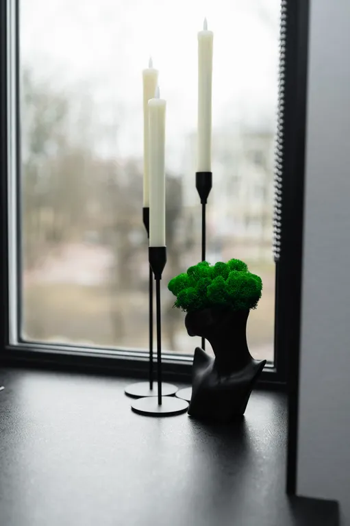 Апартамент в Доходном доме купца Конконена