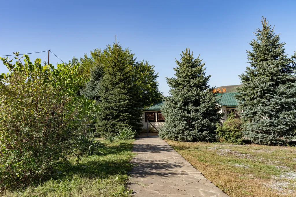 Гостевой комплекс у озера Бекан