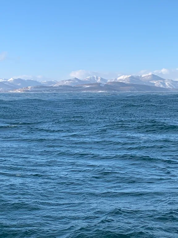 Уютная квартира в центре города с видом на Авачинскую бухту