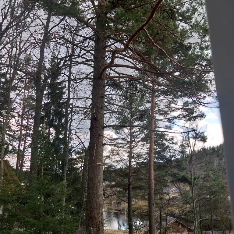 Дом на скале