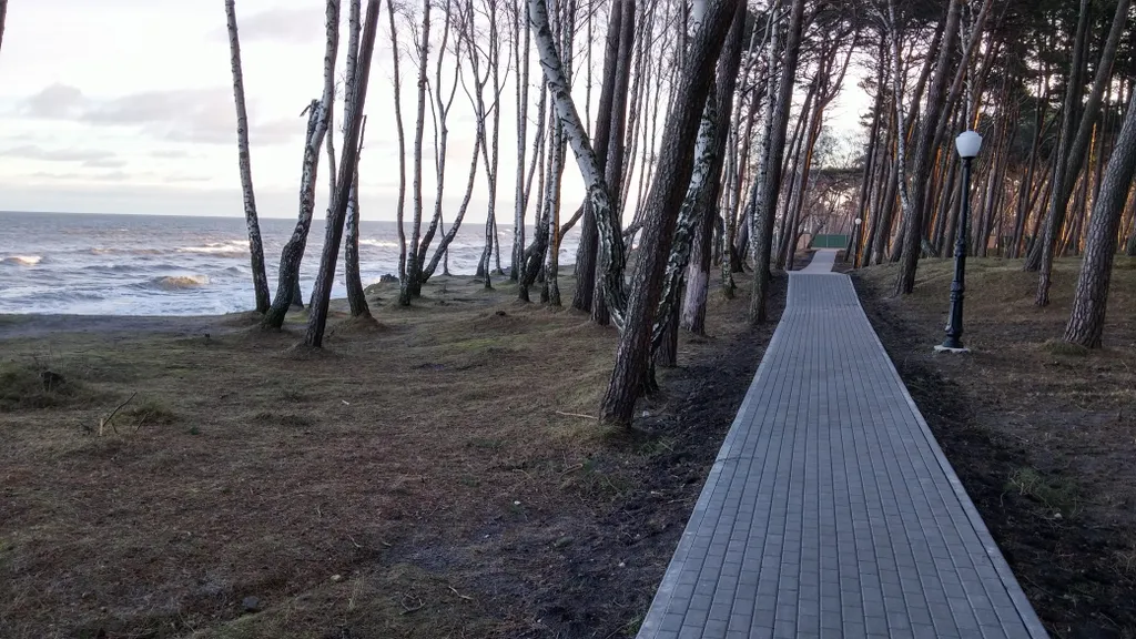 Уютная квартира 1-я линия у моря