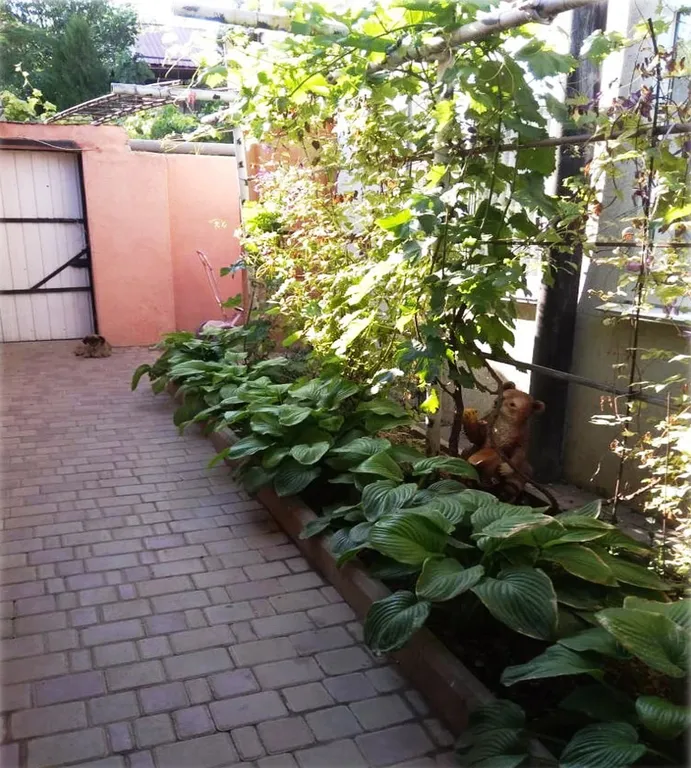 Квартира Квартира Отдельный этаж в доме у моря — Севастополь