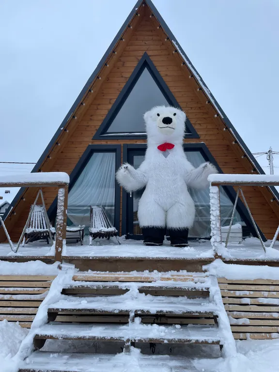 Дизайнерский коттедж Зима