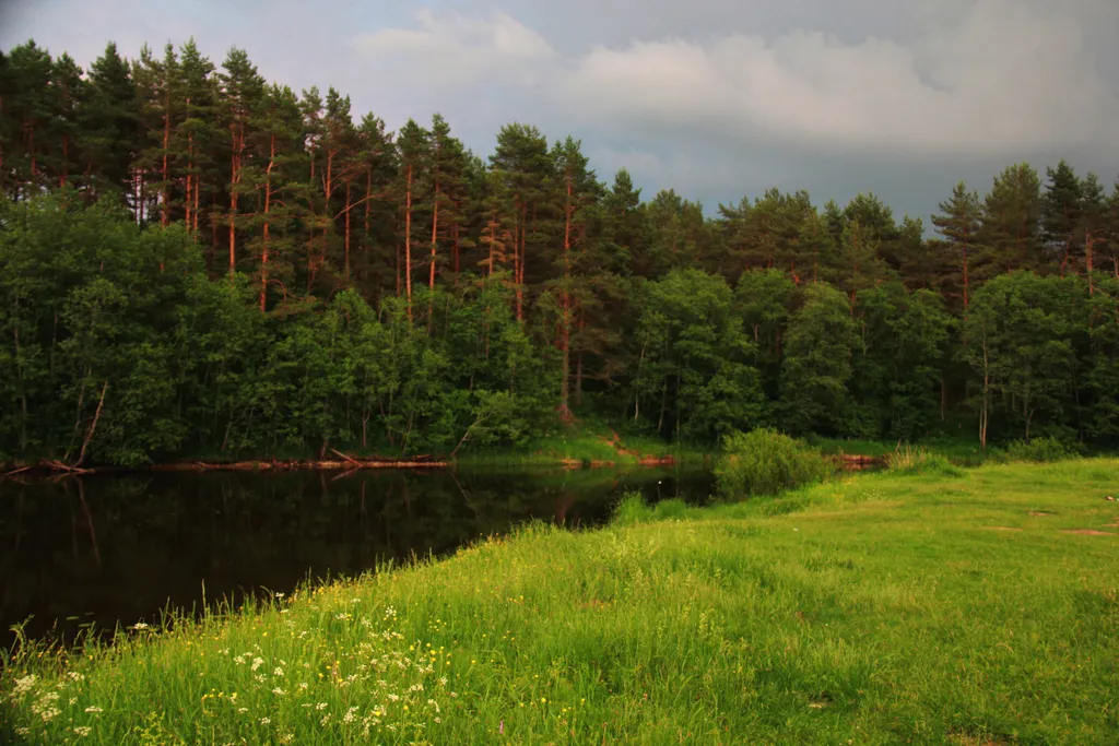 Коттедж 1-комнатный Дом — Тверь