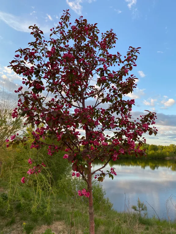 Уютная студия рядом с озером