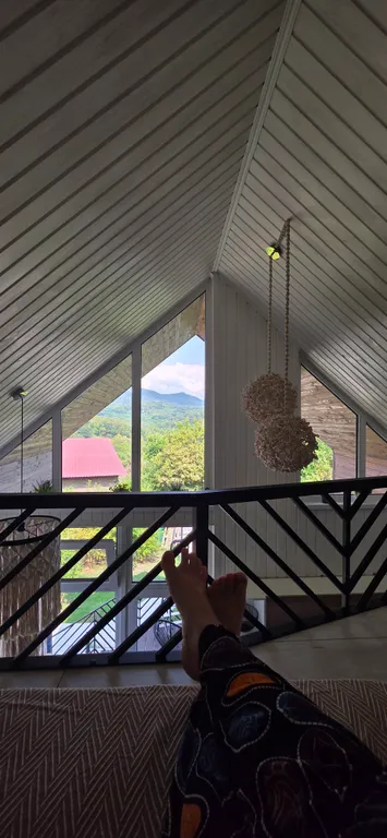 Дом лаванда