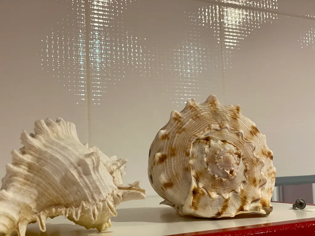 Просторный апартамент для действительно большой семьи