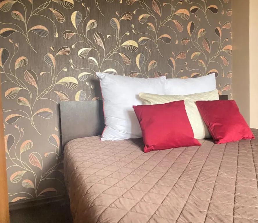 Евродвушка в центре Читы