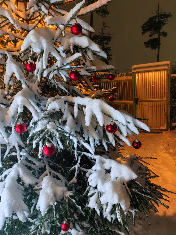 Дом в городе петрозаводске с красивым уединённым участком и баней