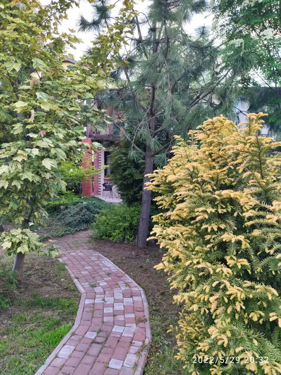 Деревенский дом у моря