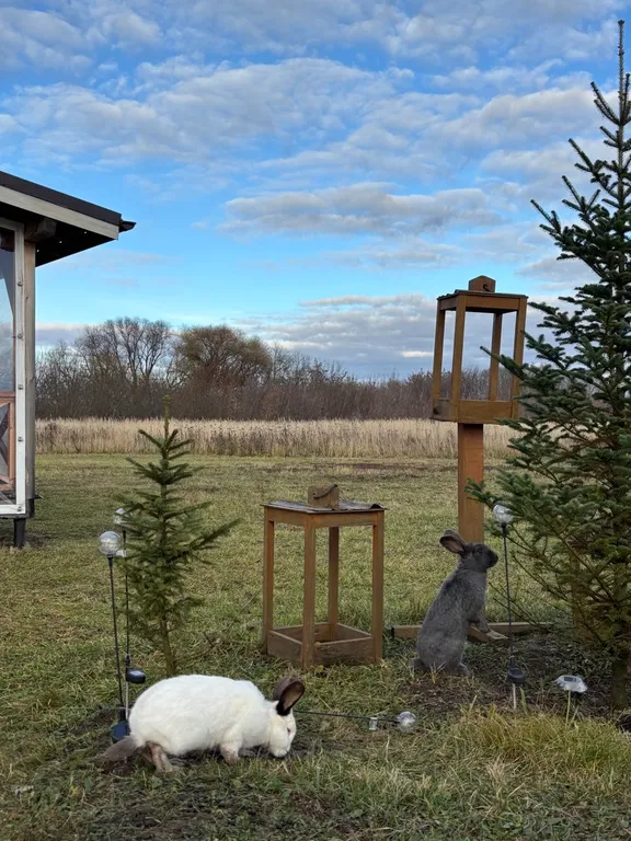 Коттедж Дом-дача Васильки — Луховицы