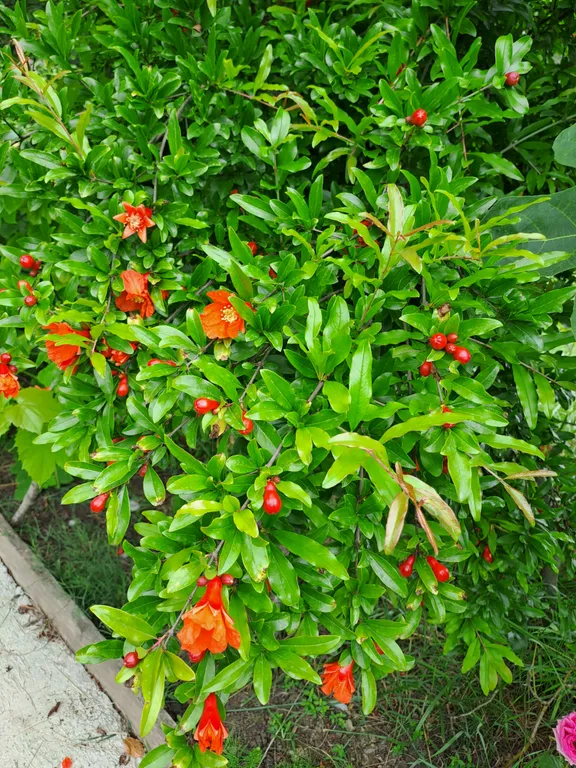 Коттедж под ключ у Черного моря