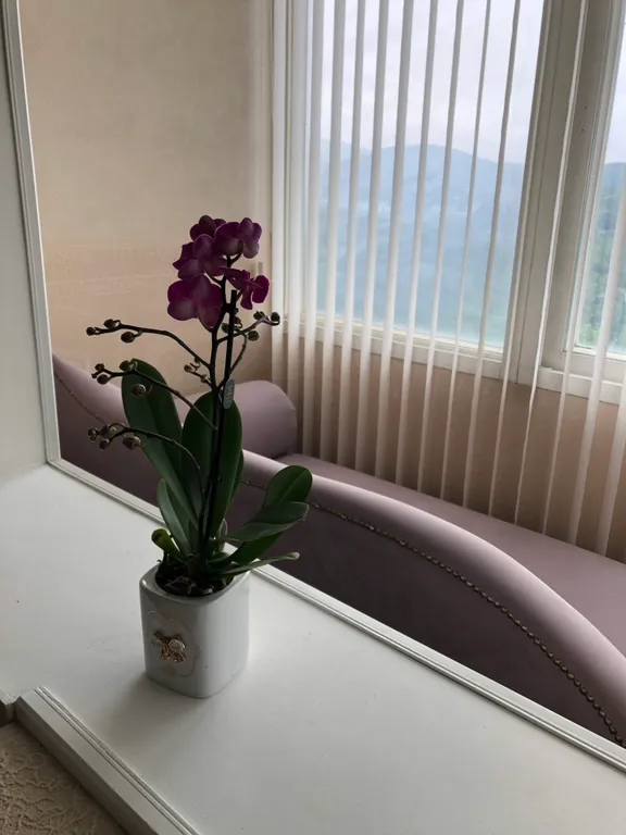 Очень хорошая квартира в районе бухты Шамара