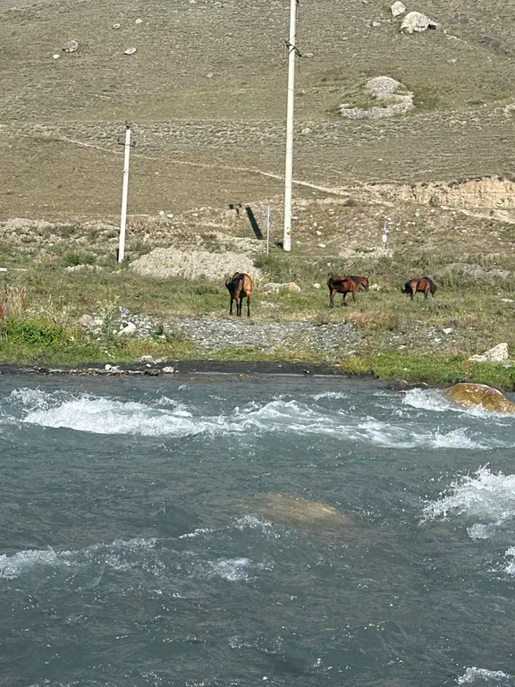 Уютная квартира в центре Фиагдона