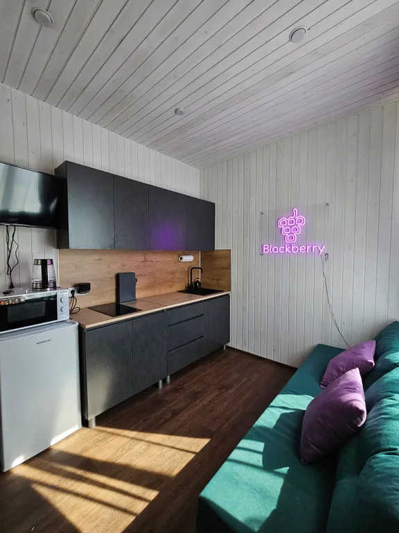 Коттедж Дом с баней на дровах и купелью — Большое Коновалово