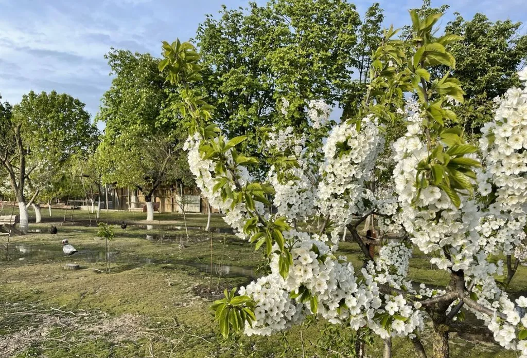 Комната с гостевой с видом на море