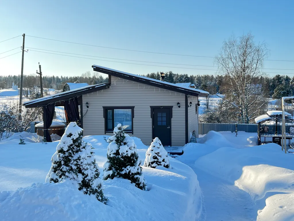 Уютный дом с купелью