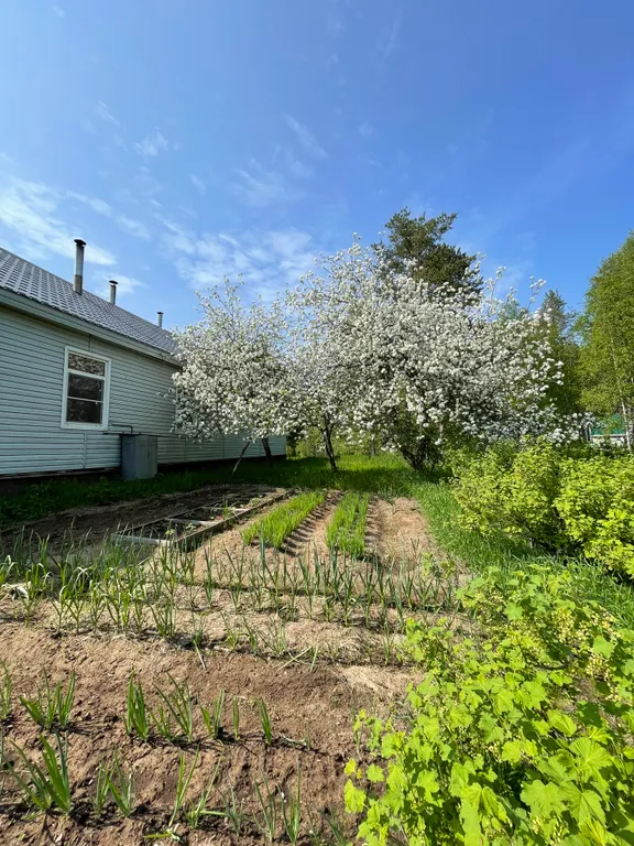 Уютная часть дома в шаговой доступности от озера Сямозеро