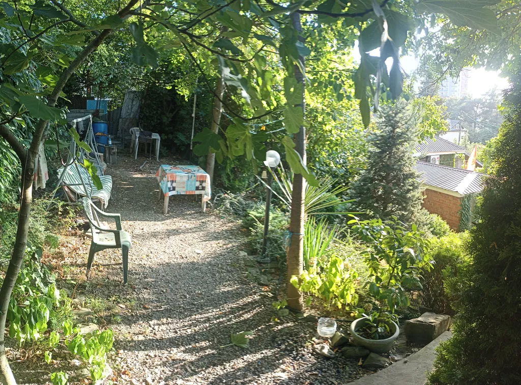 Однокомнатный коттедж с видом на лес и горы