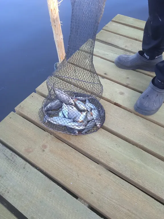 Коттедж Коттедж Селигерское — Березово