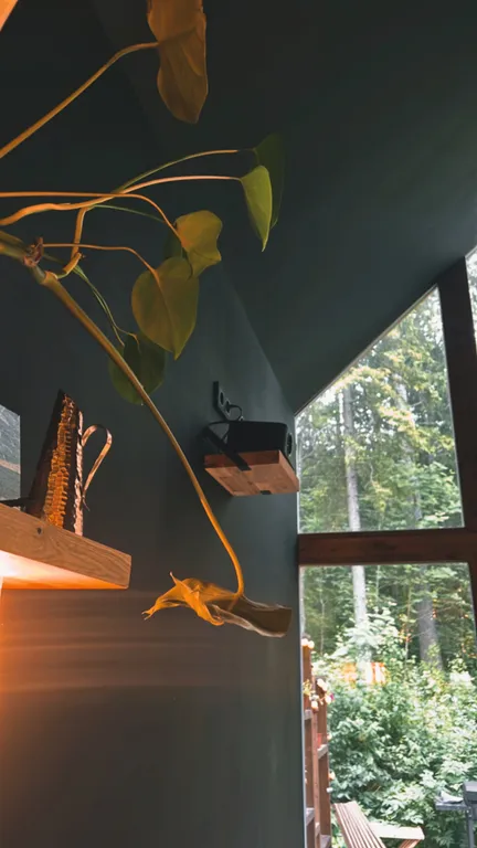 Коттедж Дом в лесу с горячей купелью — Горки (Лопухинское с/п)