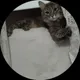 Юлия