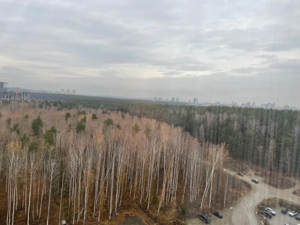 Уютная квартира рядом с лесопарком