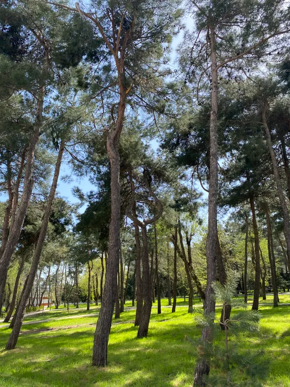 Квартира Квартира Апартамент с видом на море — Анапа