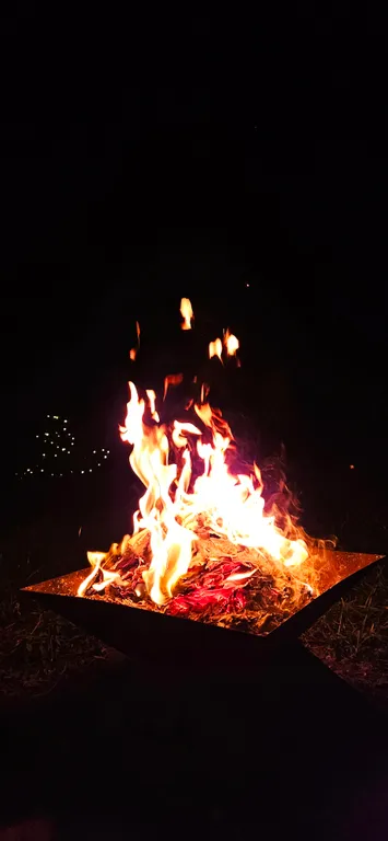 Барнс дача у моря