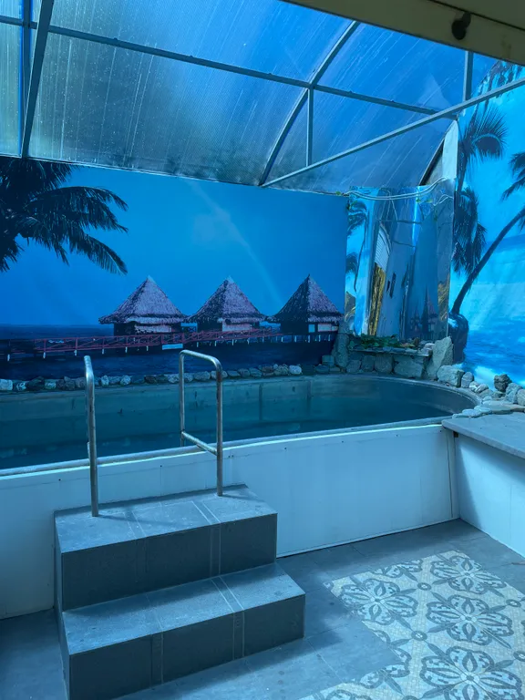 Уютный домик у красавца-эвкалипта