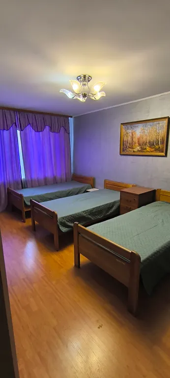 Трёхкомнатная квартира возле Звездного