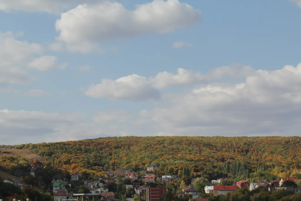 Скандинавские апартаменты с видом