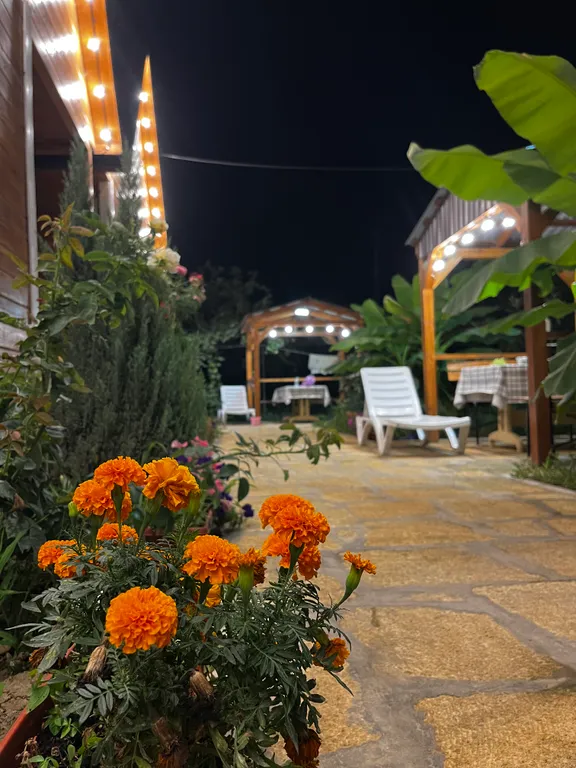 Коттедж-1 на берегу моря