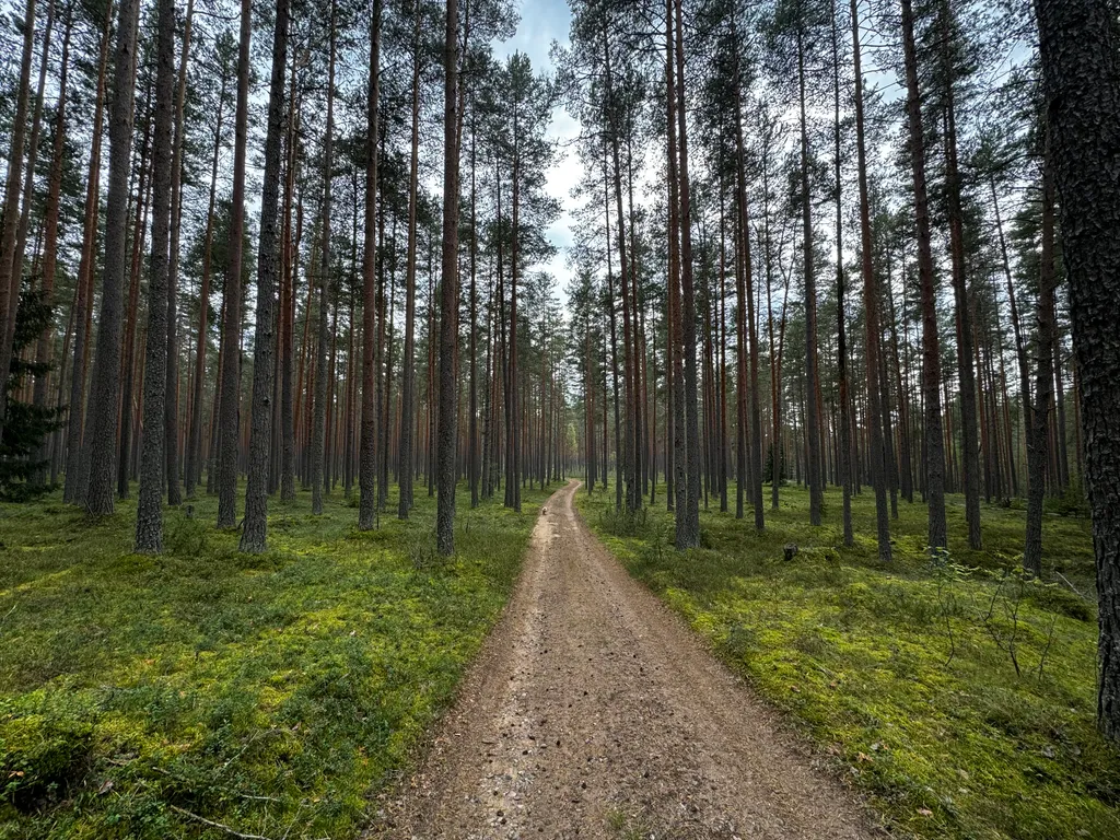 Goodhouse коттедж