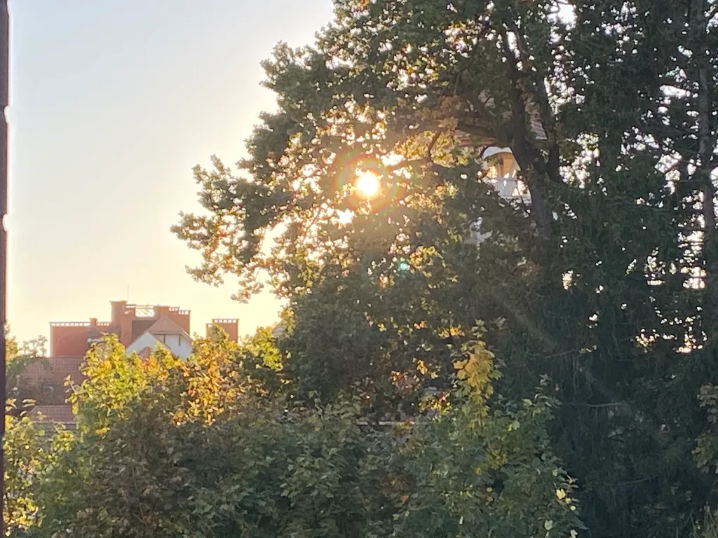 Квартира Апартаменты в самом сердце Светлогорска — Светлогорск