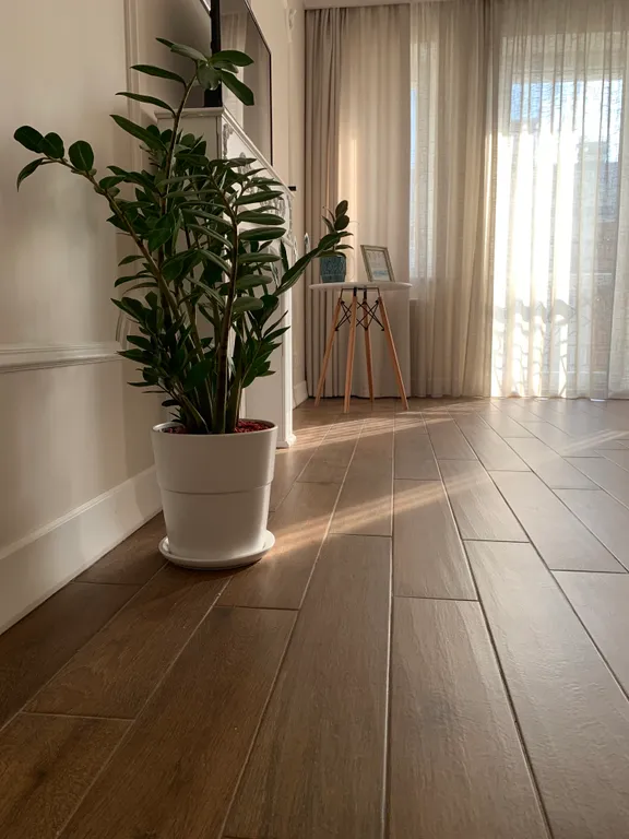 Розовый закат