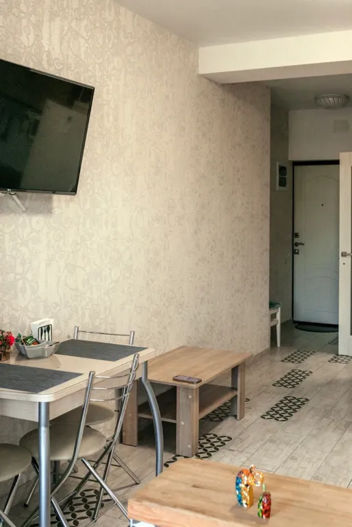 Студия с видом на парк Южные Культуры