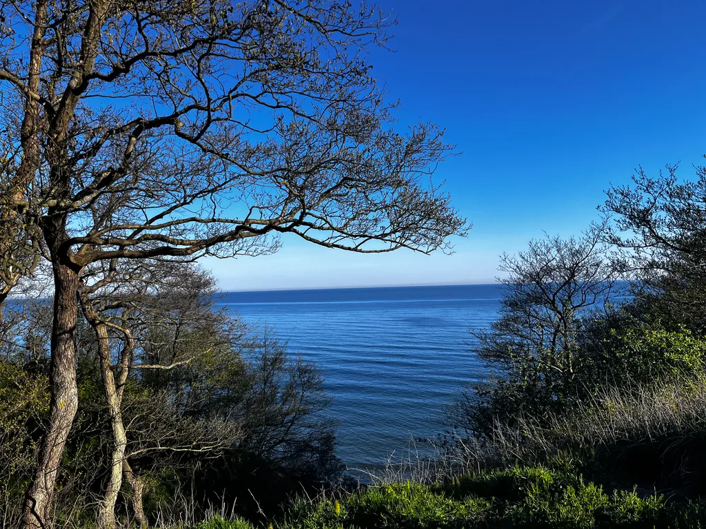 Квартира Квартира Море волнуется без тебя — Пионерский