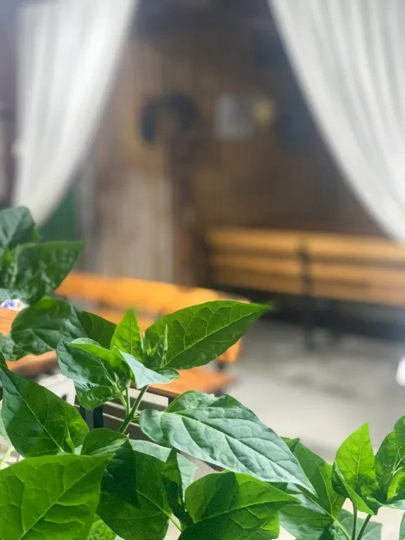 Солнечная Дача