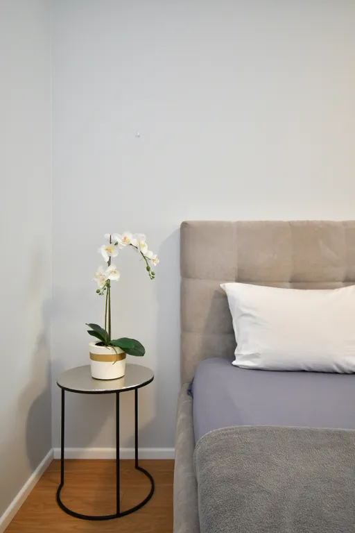 Дизайнерский люкс в центре с 2 спальнями