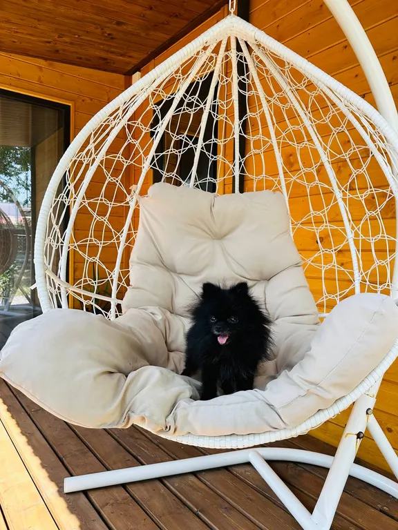 Коттедж Дом-студия в стиле Лофт — Анапа